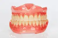 入れ歯