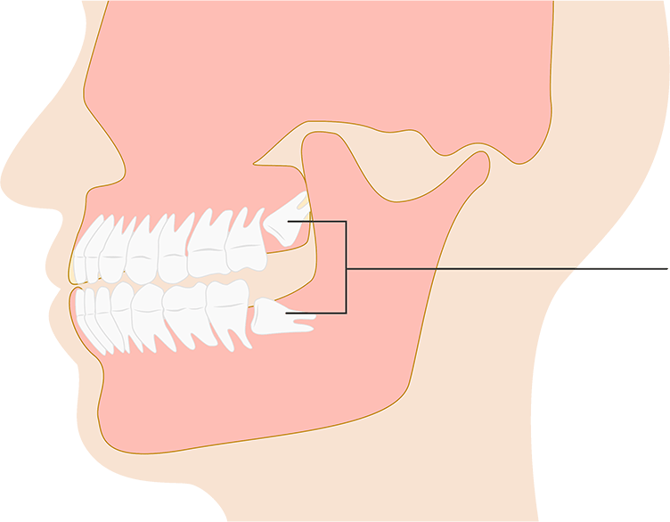 採用情報